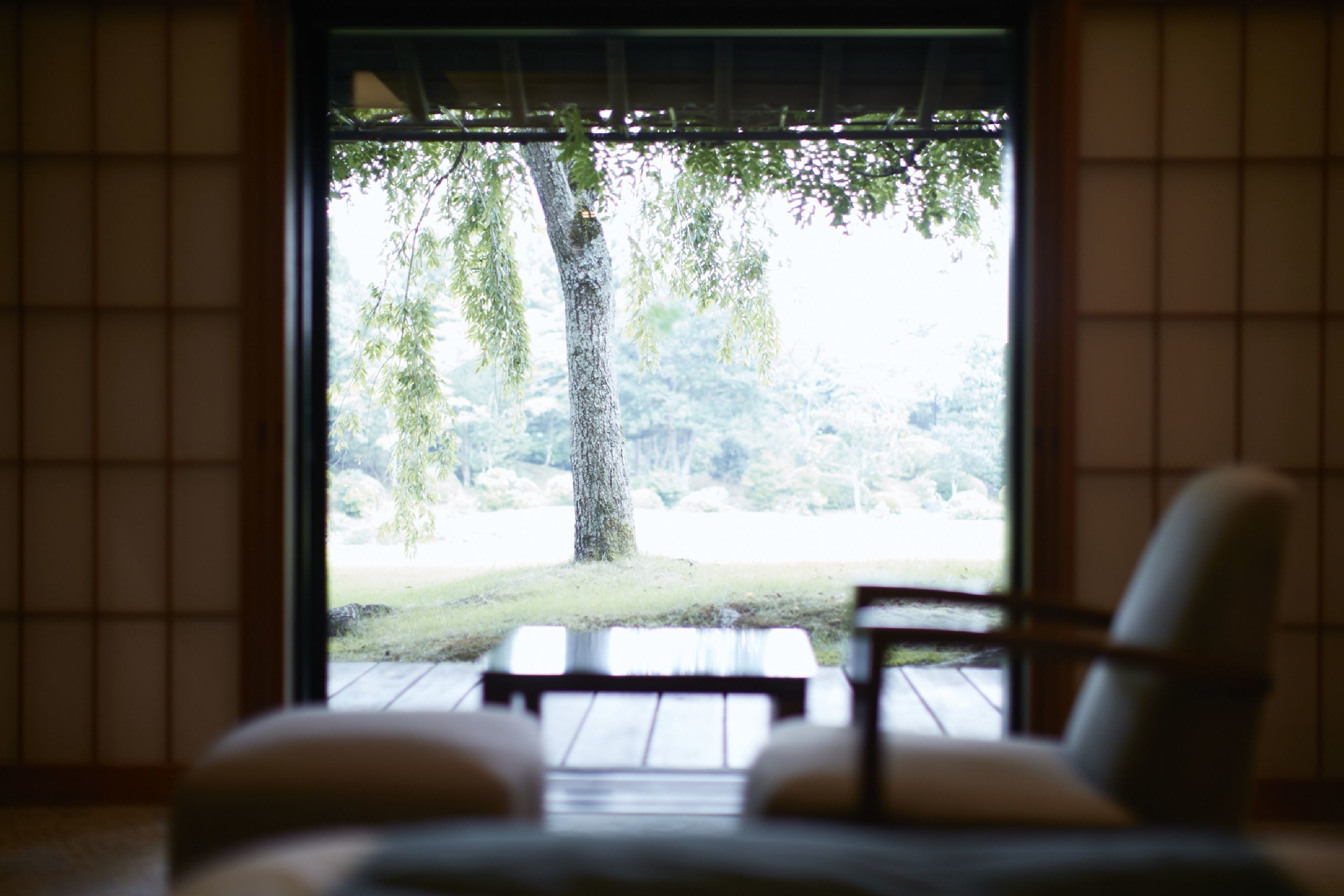 A room with tatami flooring, a low table, and a chair facing a large window with a view of trees and a grassy area.