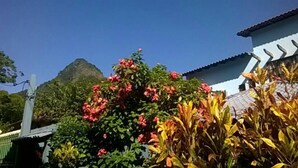 Un edificio de estilo arquitectónico tradicional, rodeado de exuberante vegetación y plantas en flor.