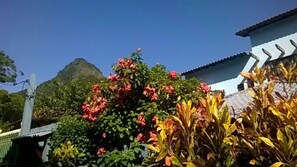 Garden - Pousada Telhado Azul (Angra dos Reis)