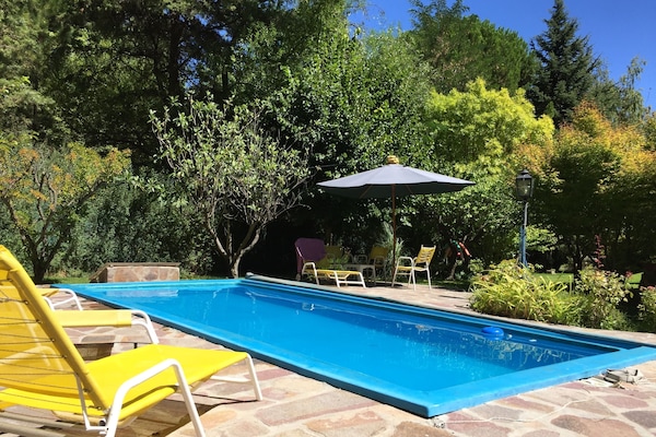 Seasonal outdoor pool, pool umbrellas, sun loungers