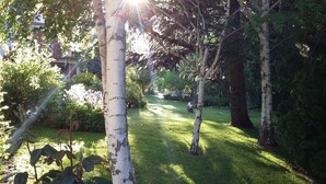 A well-maintained garden with a variety of trees, a grassy lawn, and a pathway. - El Colibri Cabañas de la Naturaleza (Trelew)
