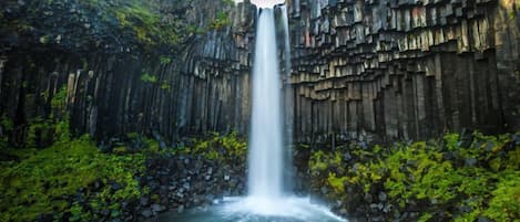 Una cascada que se precipita por un acantilado rocoso, rodeada de exuberante vegetación.
