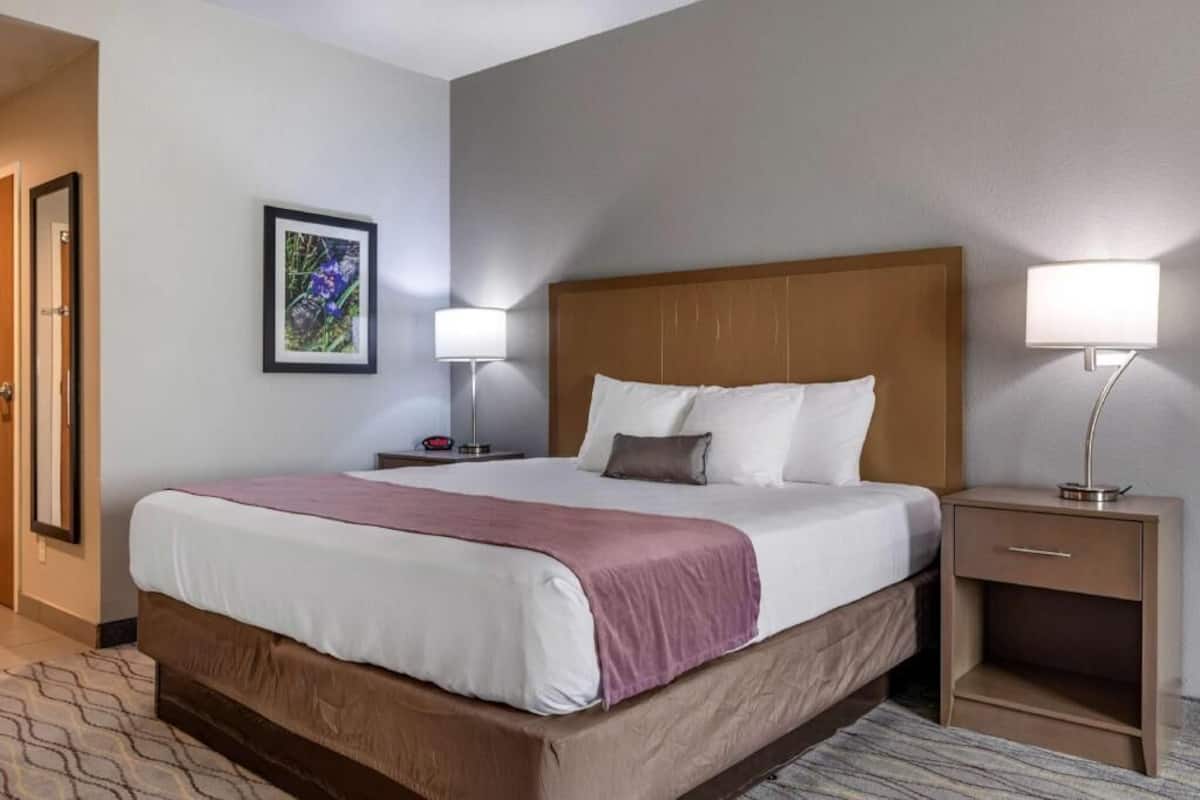 A hotel room with a bed, bedside lamps, a nightstand, a framed picture on the wall, and a door.