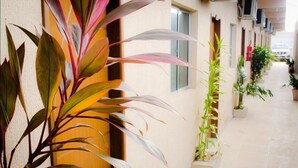 Un pasillo con plantas en macetas y una pared color beige.