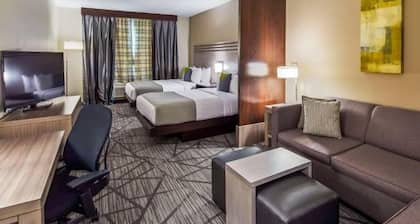 Comfort Inn & Suites Houston I-45 North - IAH