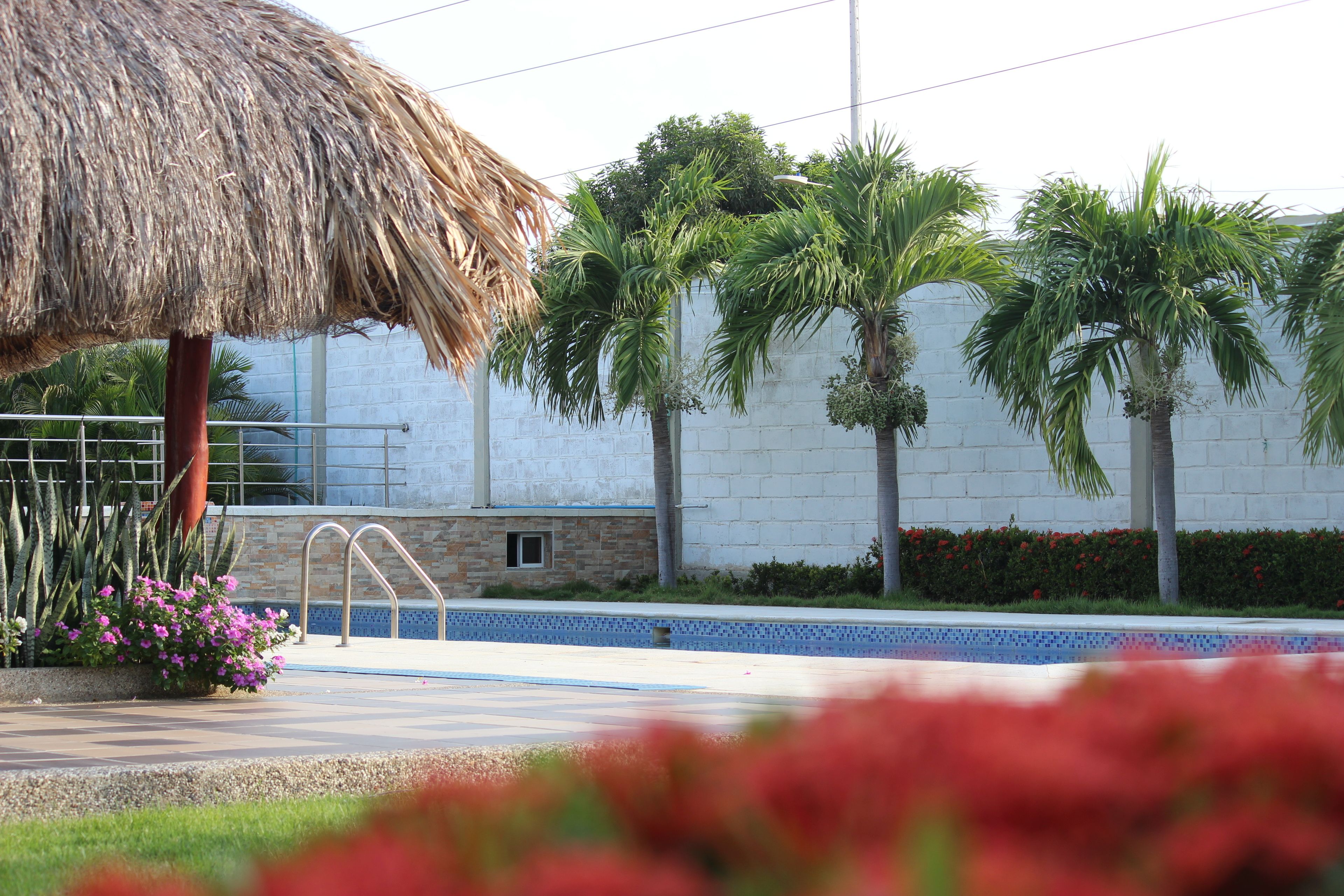 Zona de piscina con sombrilla de paja, palmeras y piscina con azulejos.
