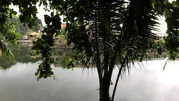 Vista da propriedade