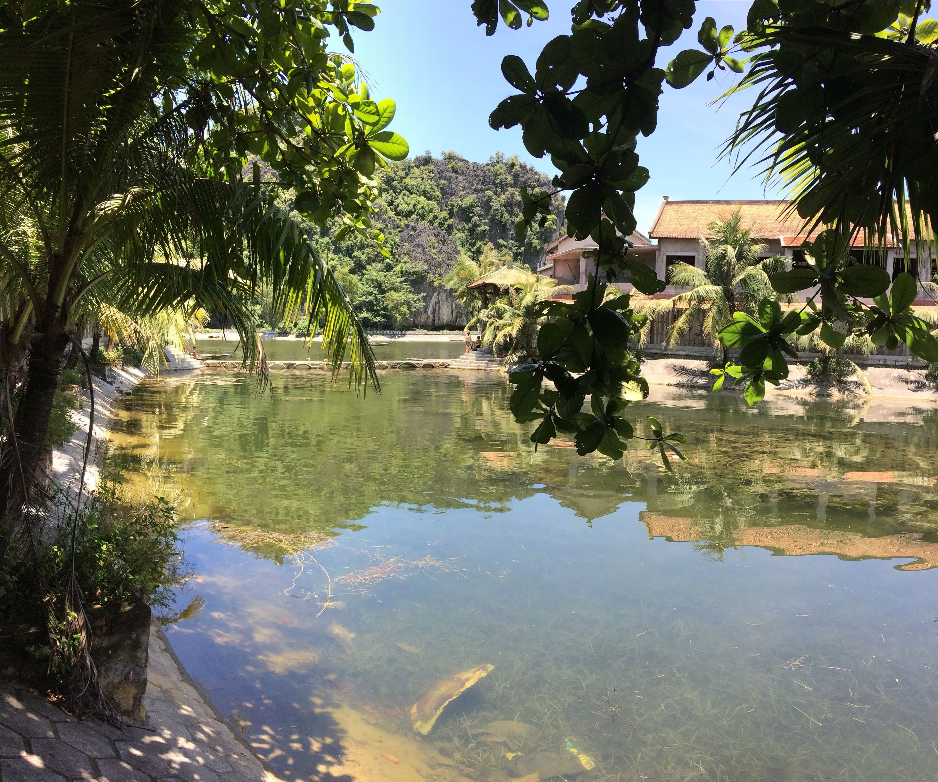住宿景觀
