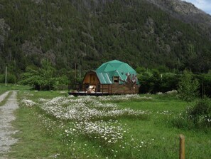 Esterni