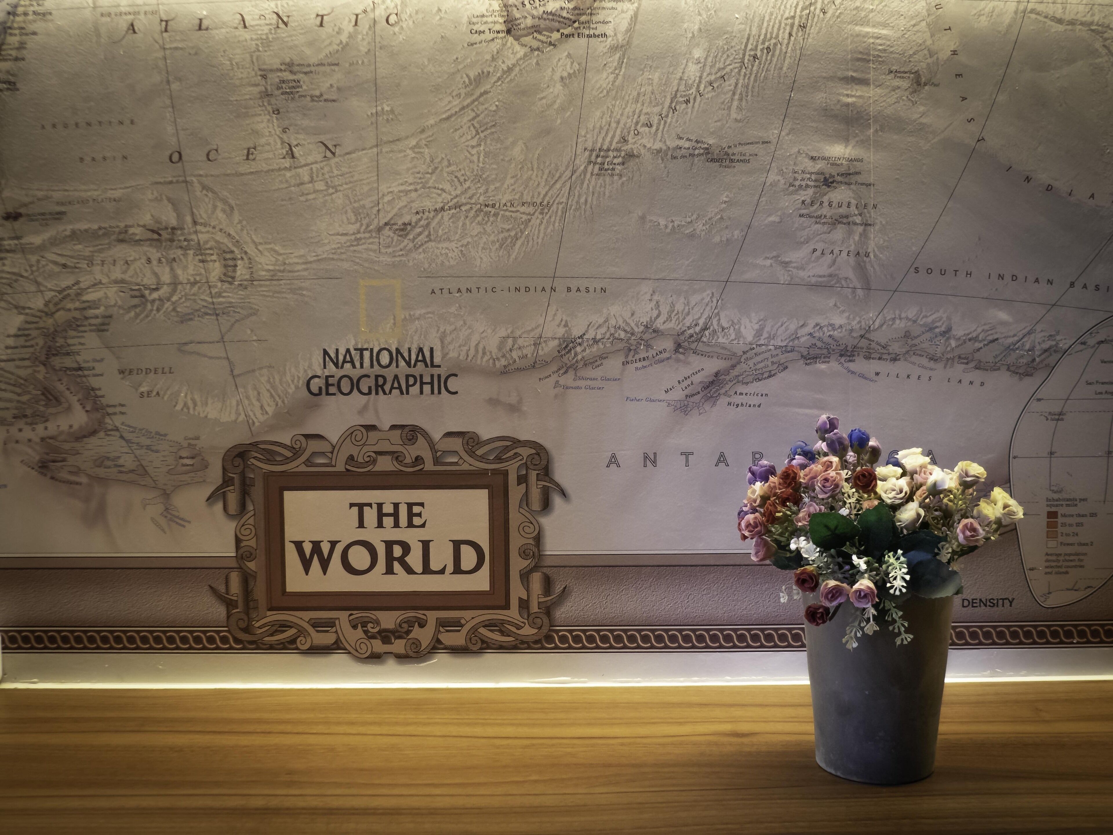 Un mapa del mundo con un marco decorativo que dice "THE WORLD" y una planta en maceta con flores.