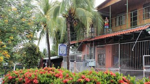 Un edificio con balcón, rodeado de exuberante vegetación y plantas florecientes.