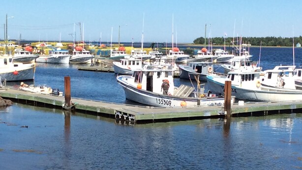 A marina with several boats docked at a pier.