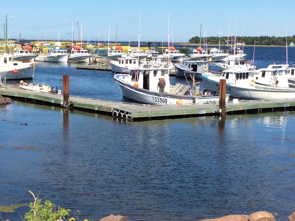 Marina - Jardine's Inn (Rexton)