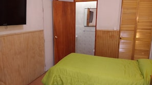 Habitación doble estándar, 1 cama matrimonial, baño privado | Tabla de planchar con plancha y wifi gratis