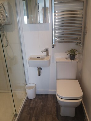 Un baño pequeño con cabina de ducha de vidrio, un lavamanos blanco con un solo grifo, un inodoro y una pequeña planta en el tanque.