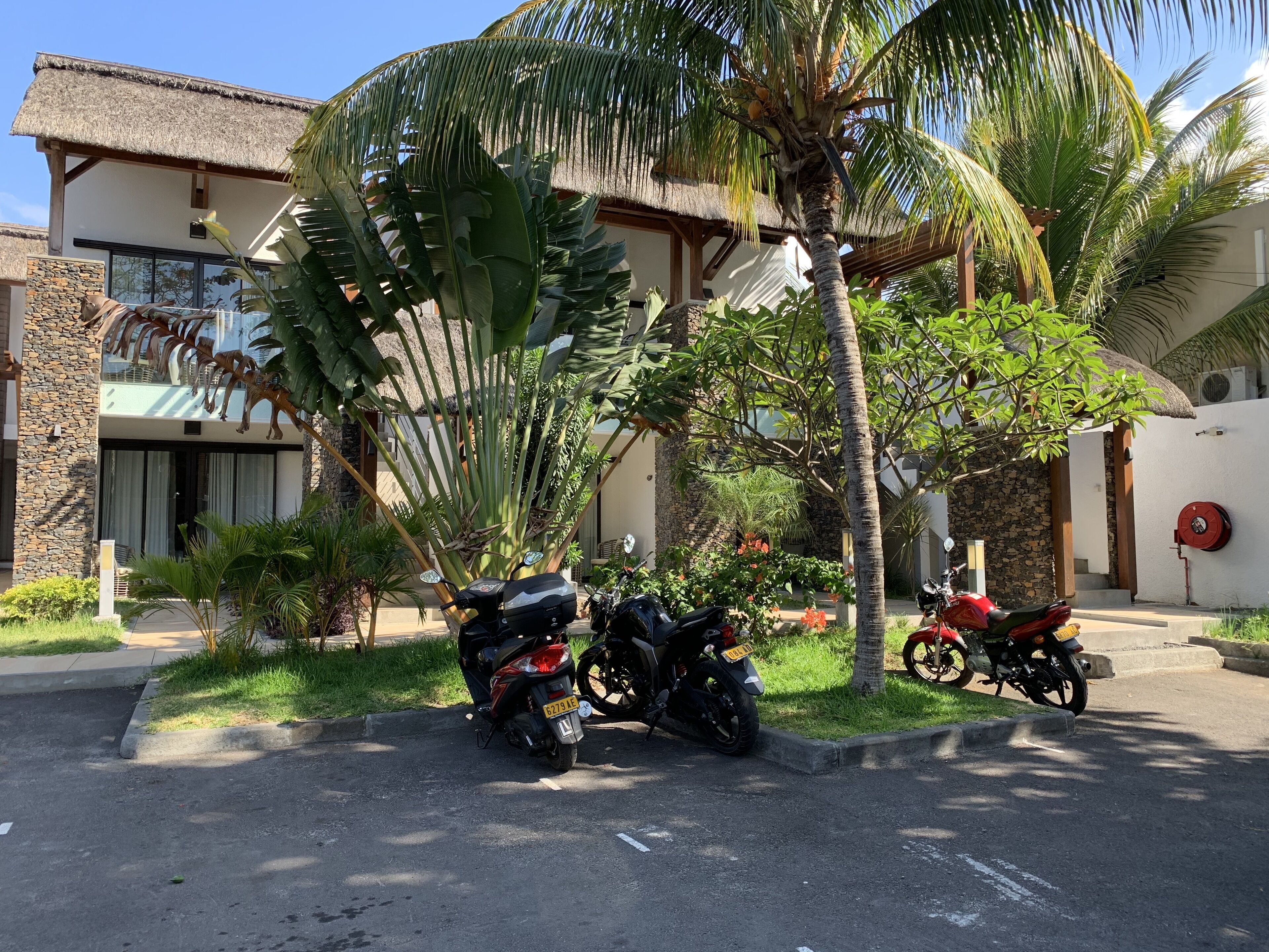 economy double room, ground floor (parking view) | view from room