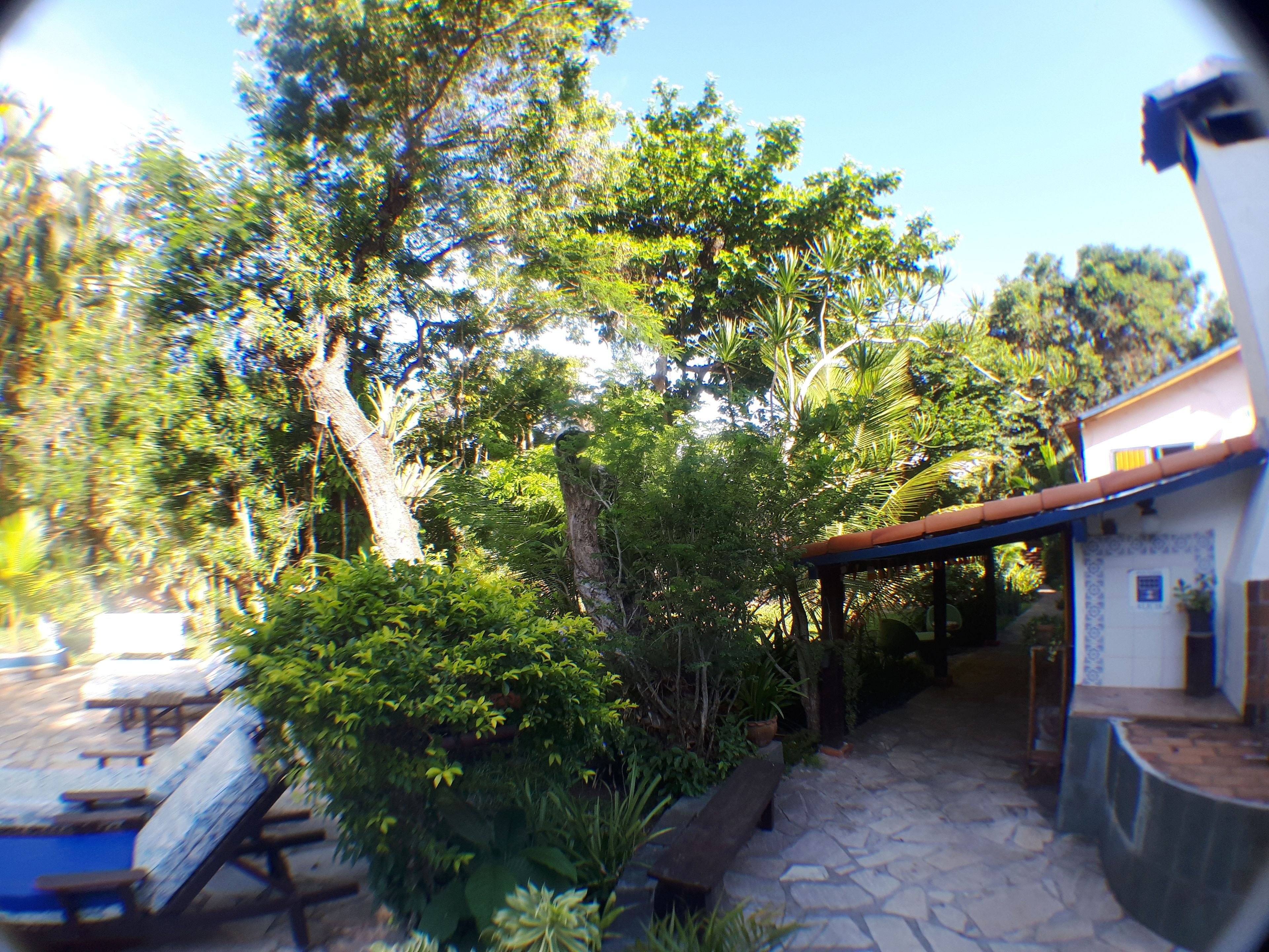 Foto - Pousada Alicia