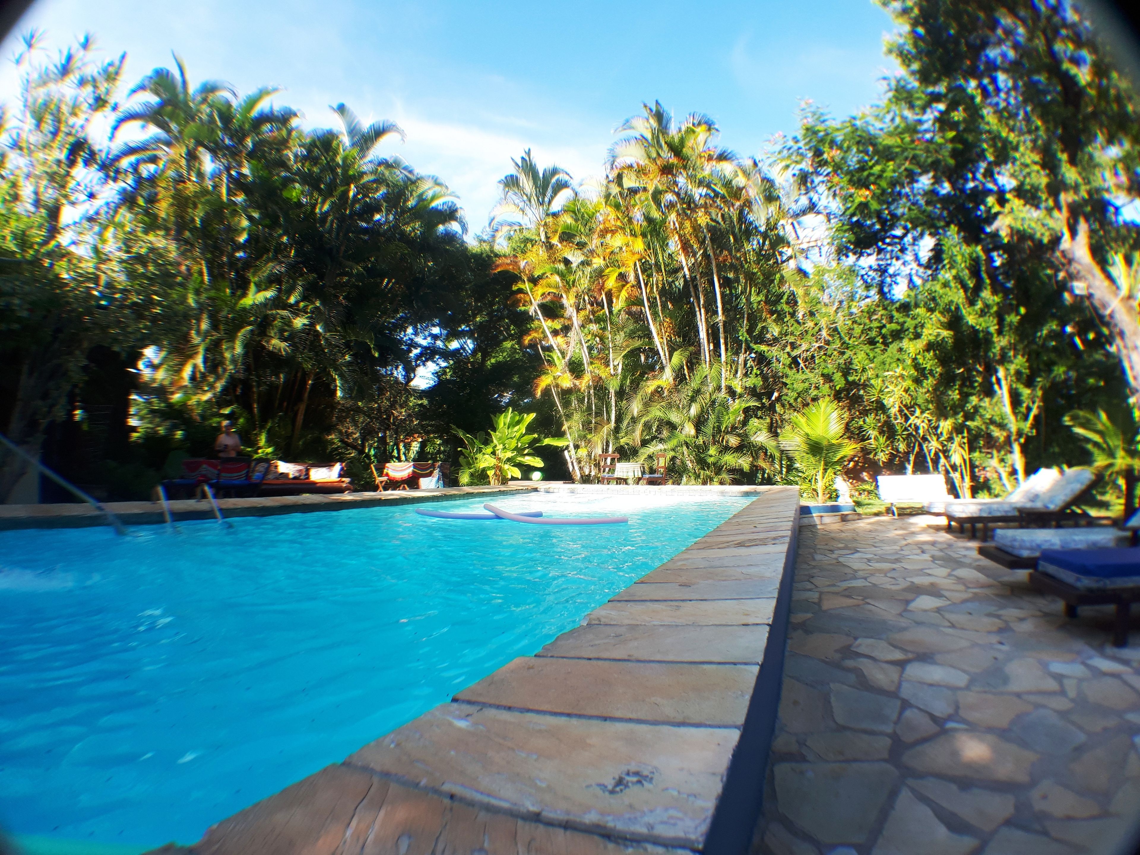 室外游泳池，提供日光浴躺椅