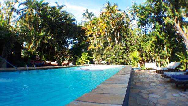 Una piscina con solárium de piedra, rodeada de palmeras y tumbonas.