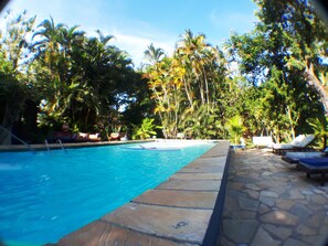 Una piscina con solárium de piedra, rodeada de palmeras y tumbonas.
