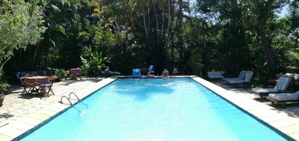 Outdoor pool, sun loungers - Pousada Alicia Búzios (Búzios)