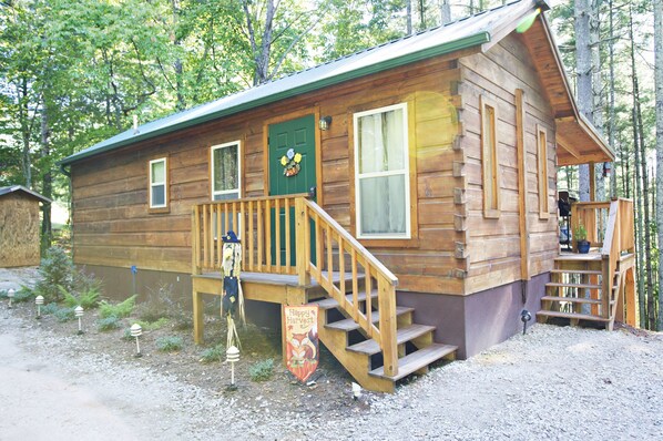 A wooden cabin with a front porch, a green door, and a staircase leading to the entrance.