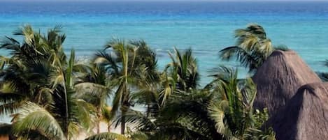 On the beach, sun loungers, beach umbrellas, beach towels