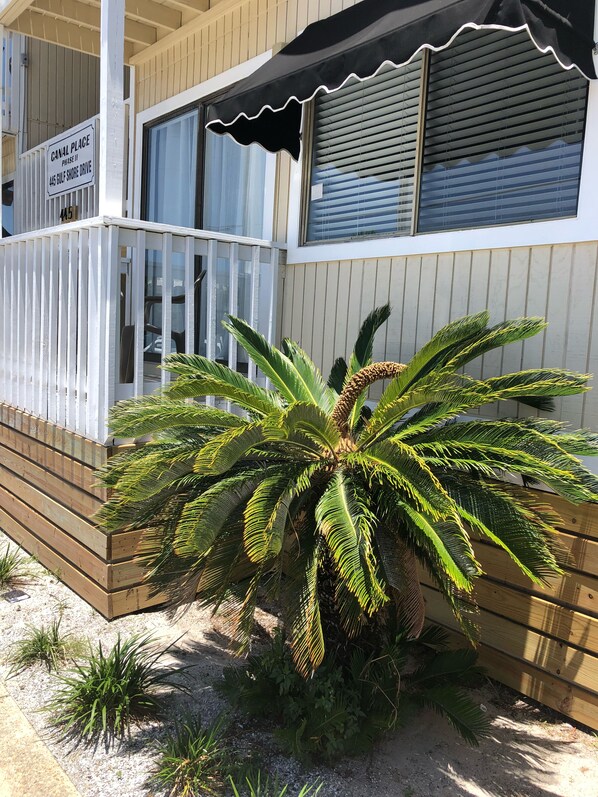 Exterior detail