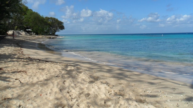 A beach with clear turquoise water, sandy shore, and green foliage. - Only 3 mins walk to Beach and Beach Club (holetown)
