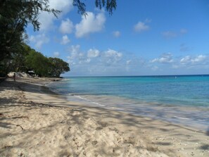 A beach with clear turquoise water, sandy shore, and green foliage.