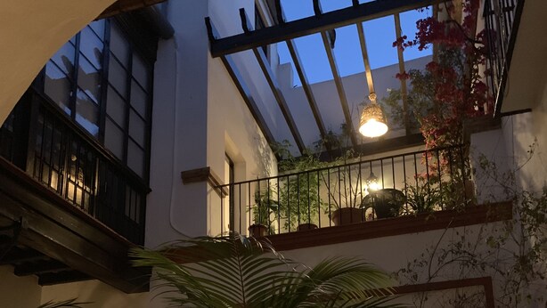 An interior with a central potted plant, a sofa, and a hanging light fixture. - Typical Andalusian House (sXVII) (Sanlúcar de Barrameda)
