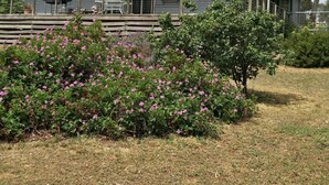 Et hus med røde tegltage, en træpergola og en have med lyserøde blomster.