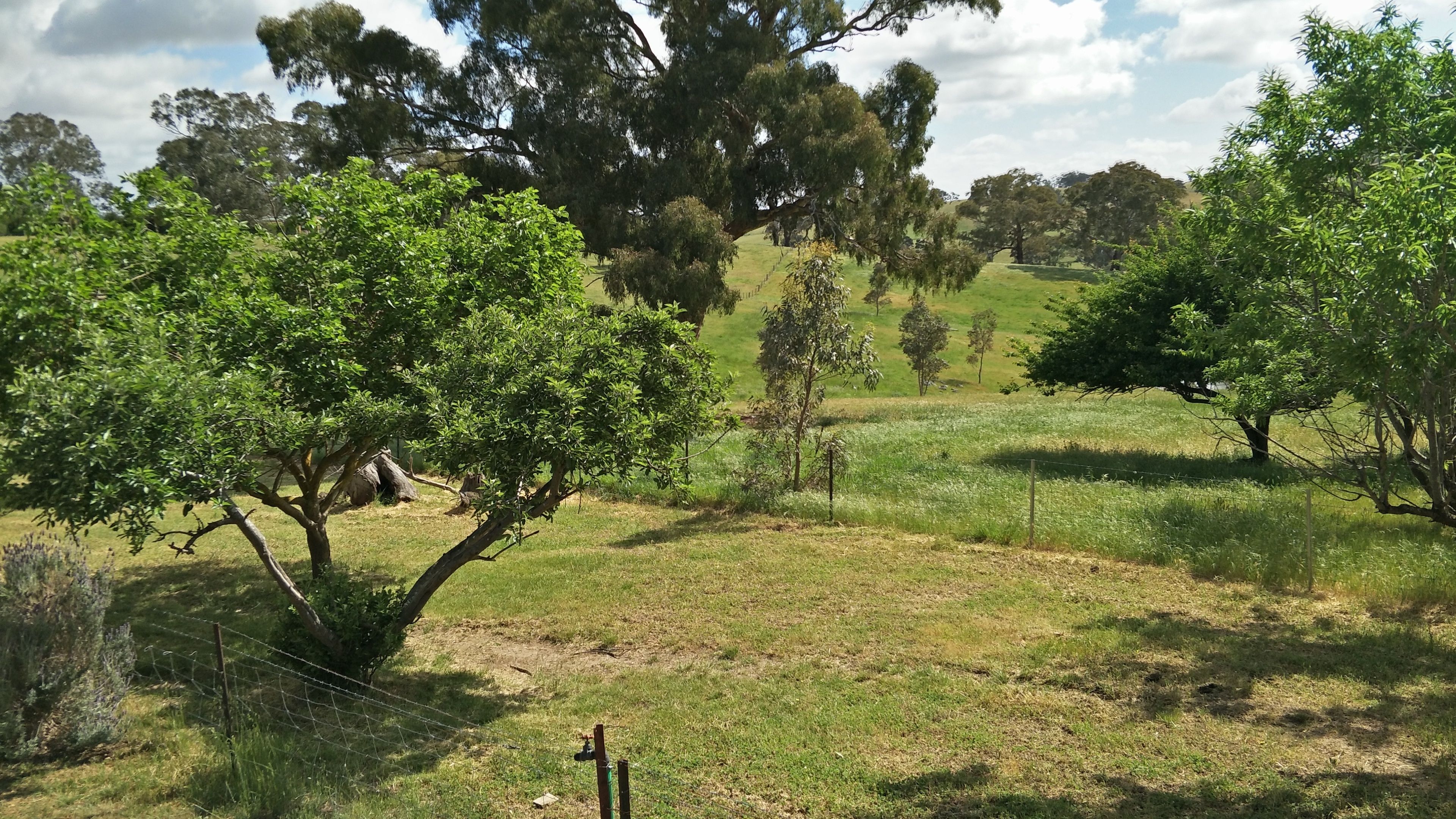A rural landscape with trees and open fields.