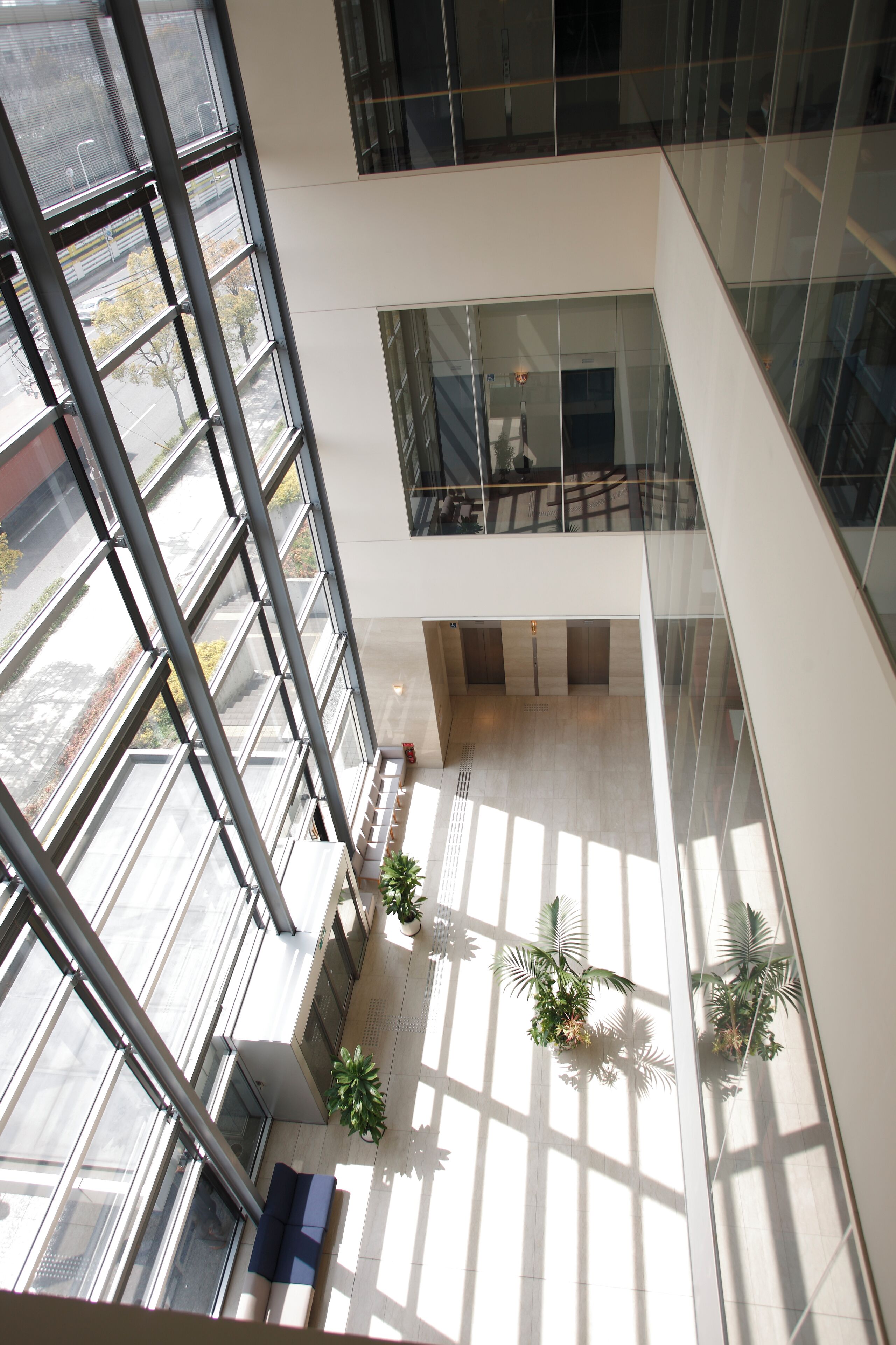 Foto - Osaka Academia