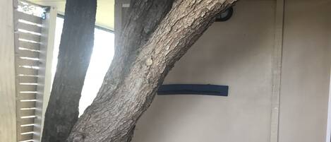 Una habitación con techo inclinado sostenido por grandes vigas de madera, una puerta blanca y un pequeño contenedor de basura.
