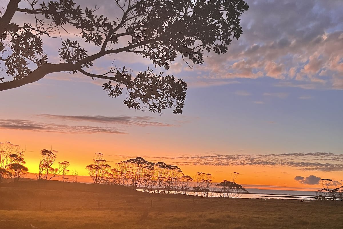 A sunset over a grassy field with trees and a fence in the foreground.
