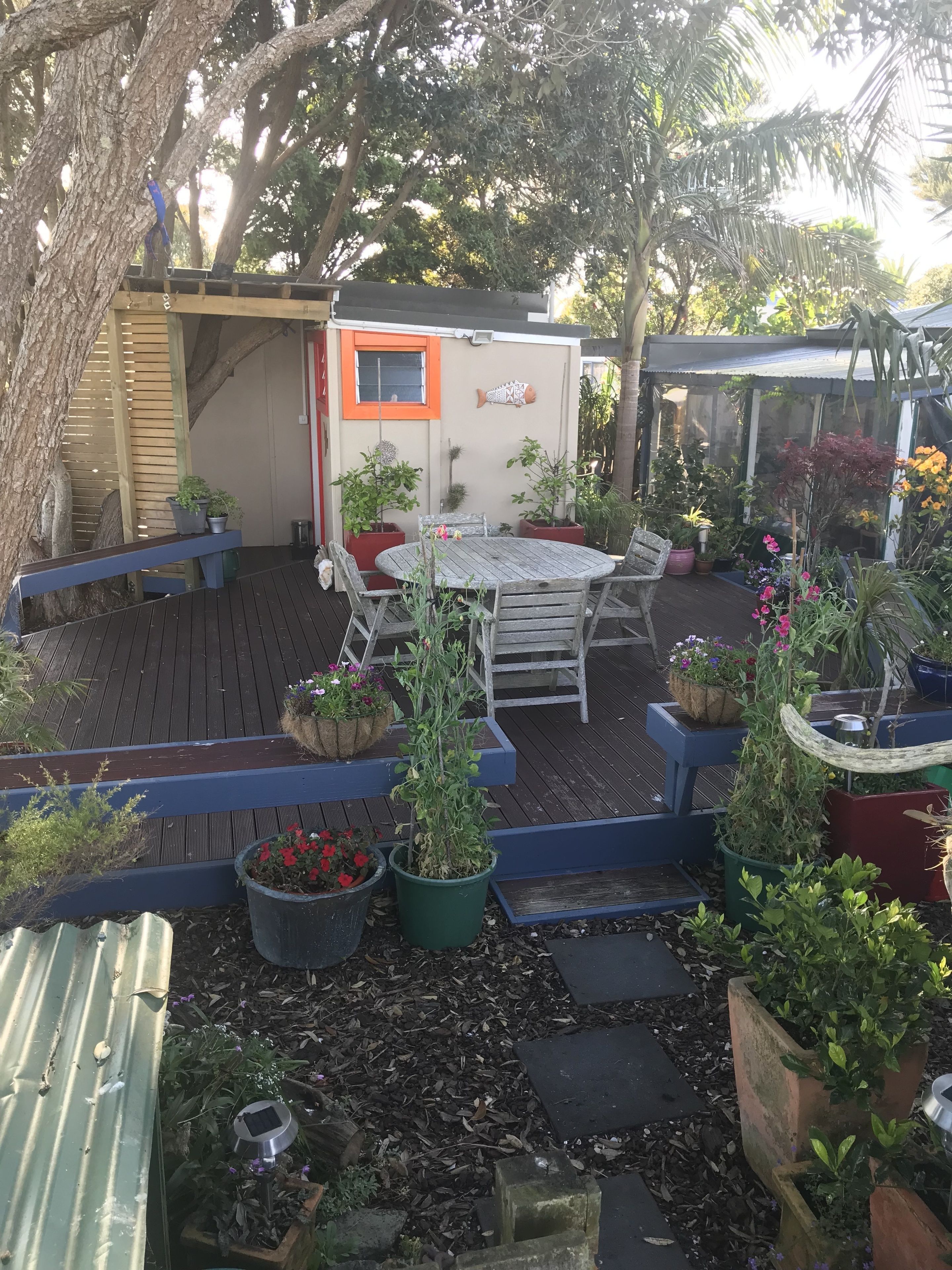 Pohutukawa Room  | Property grounds