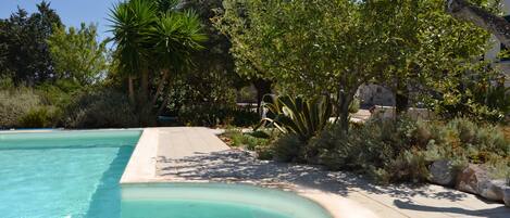 Outdoor pool, sun loungers