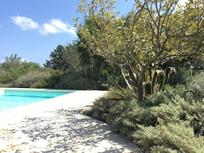 Outdoor pool, pool loungers - Puglia-Ostuni-country life, private pool, sea view, 6 km Torre Guaceto (carovigno)