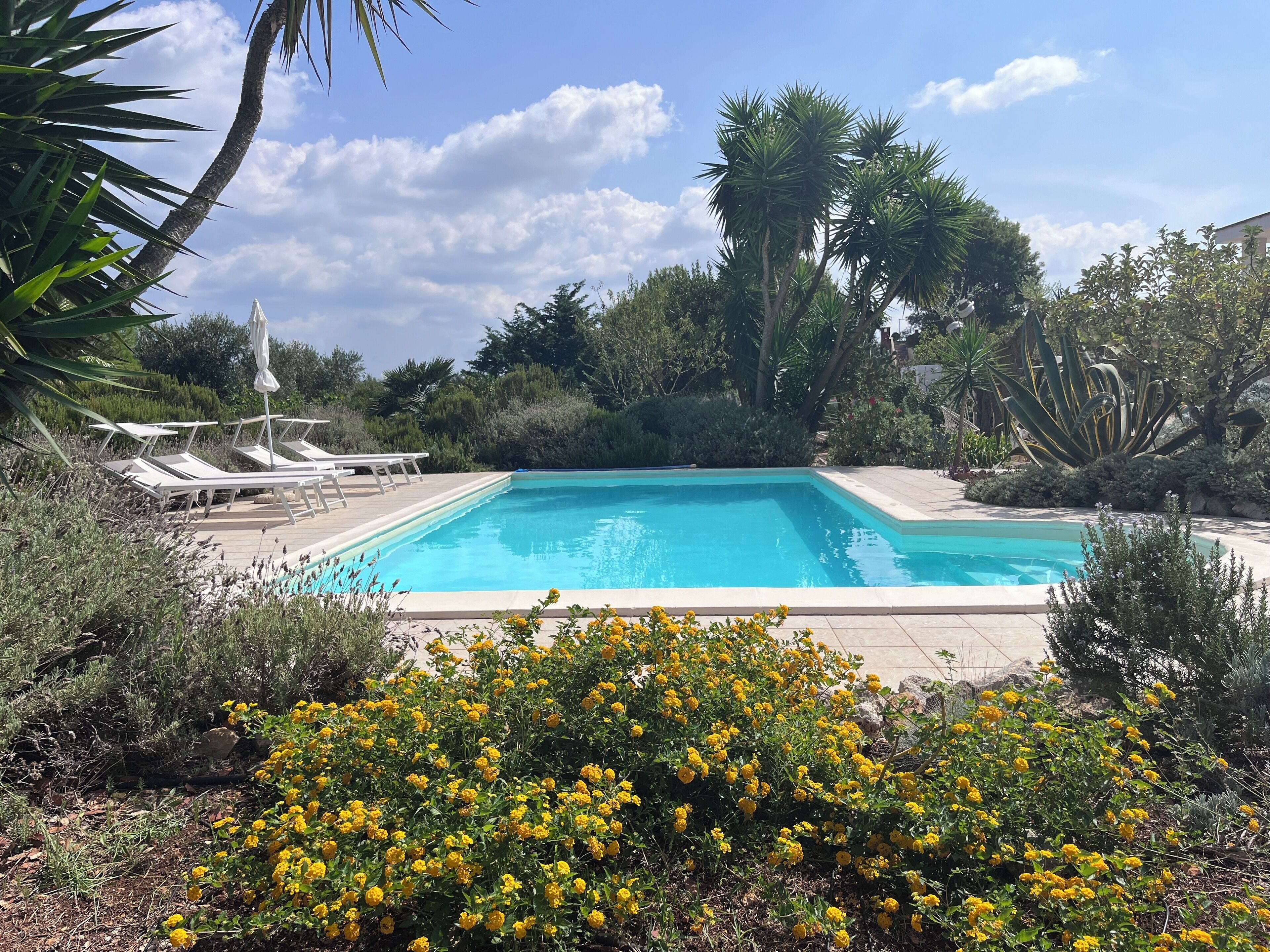 Piscina all'aperto, lettini