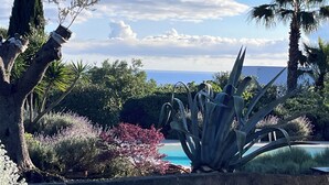 Ein angelegter Garten mit Pool, Palmen und Blick auf den Ozean.