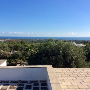 Property grounds - Puglia-Ostuni-country life, private pool, sea view, 6 km Torre Guaceto (carovigno)