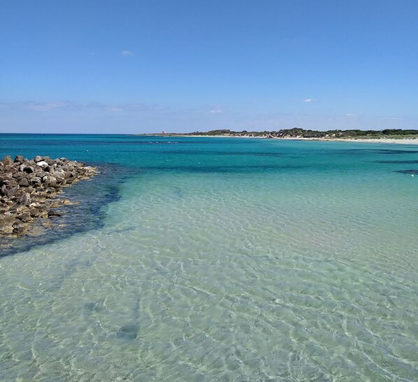 Plage à proximité, chaises longues, serviettes de plage