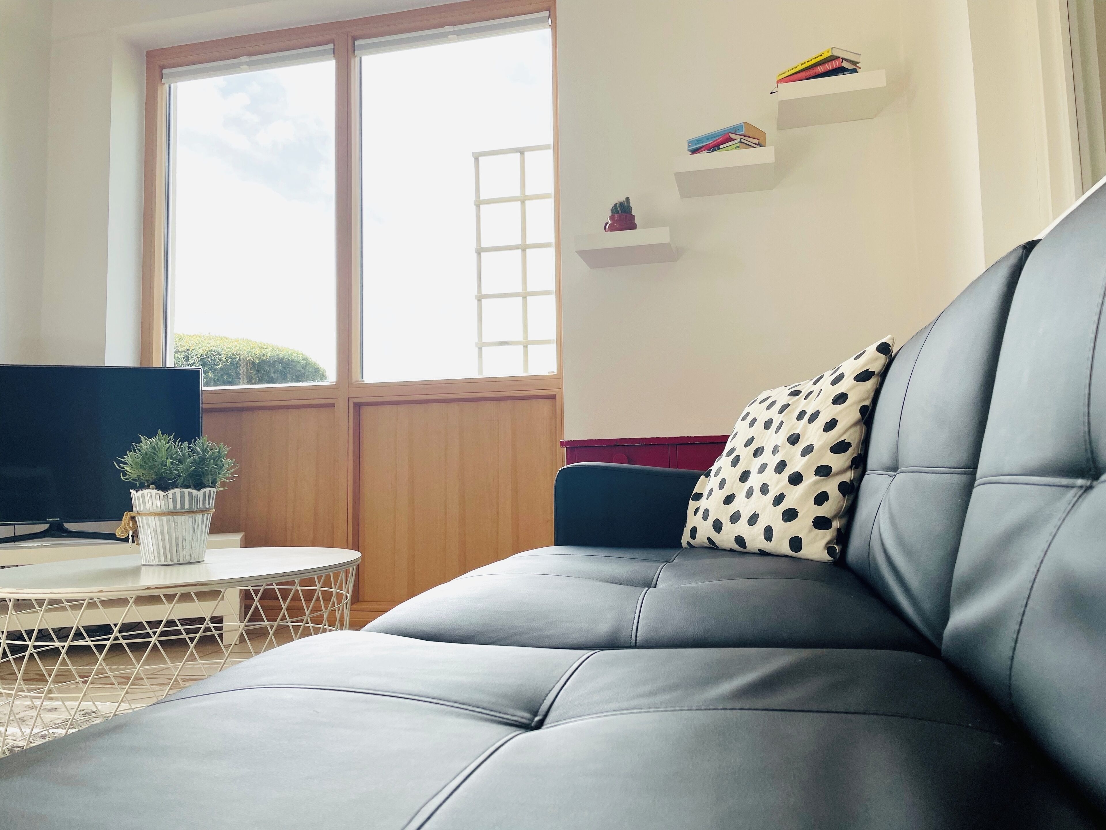 Smart TV, chimenea, reproductor de DVD y libros 