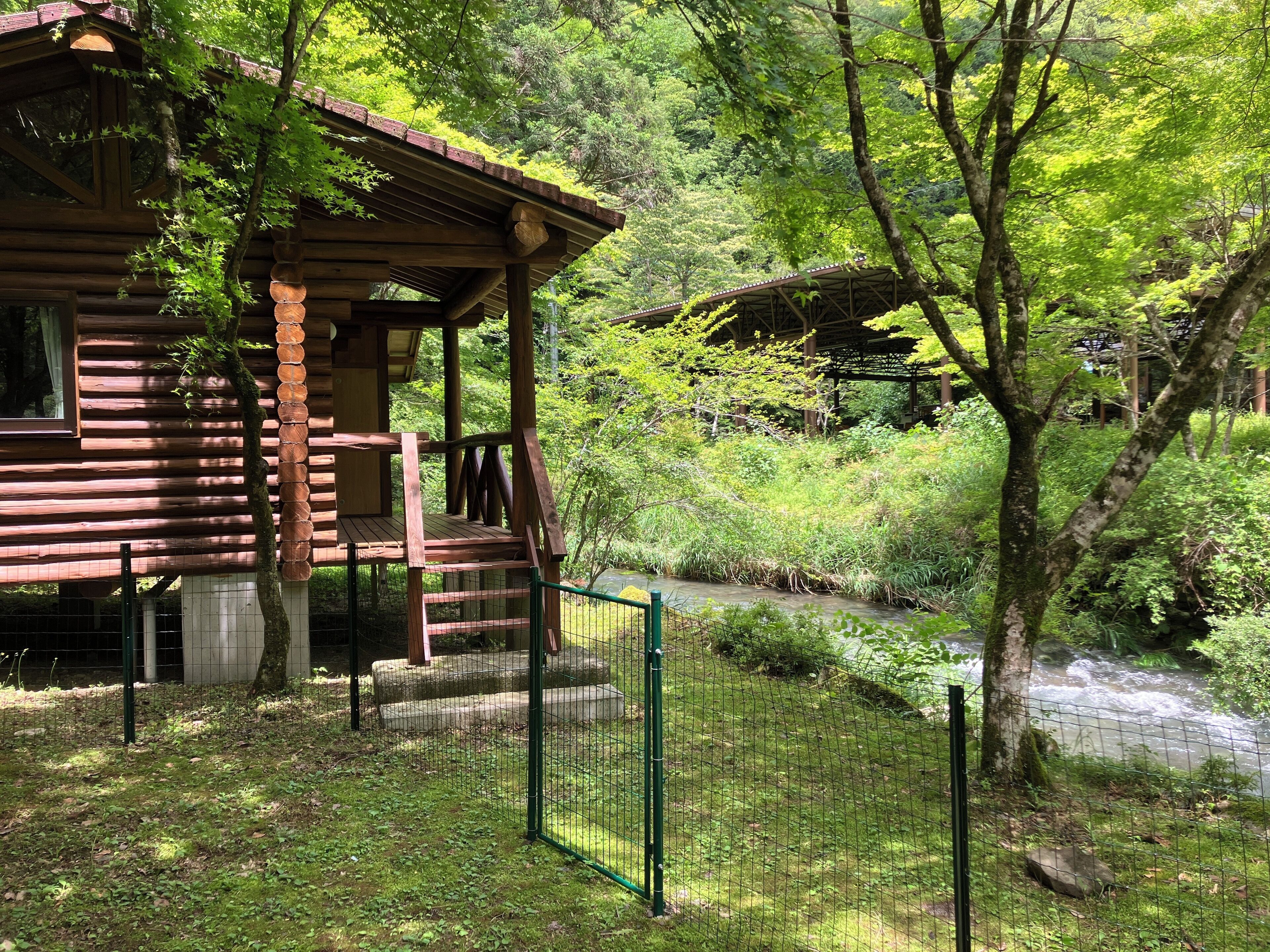 A wooden cabin with a porch, surrounded by lush greenery and a small stream.
