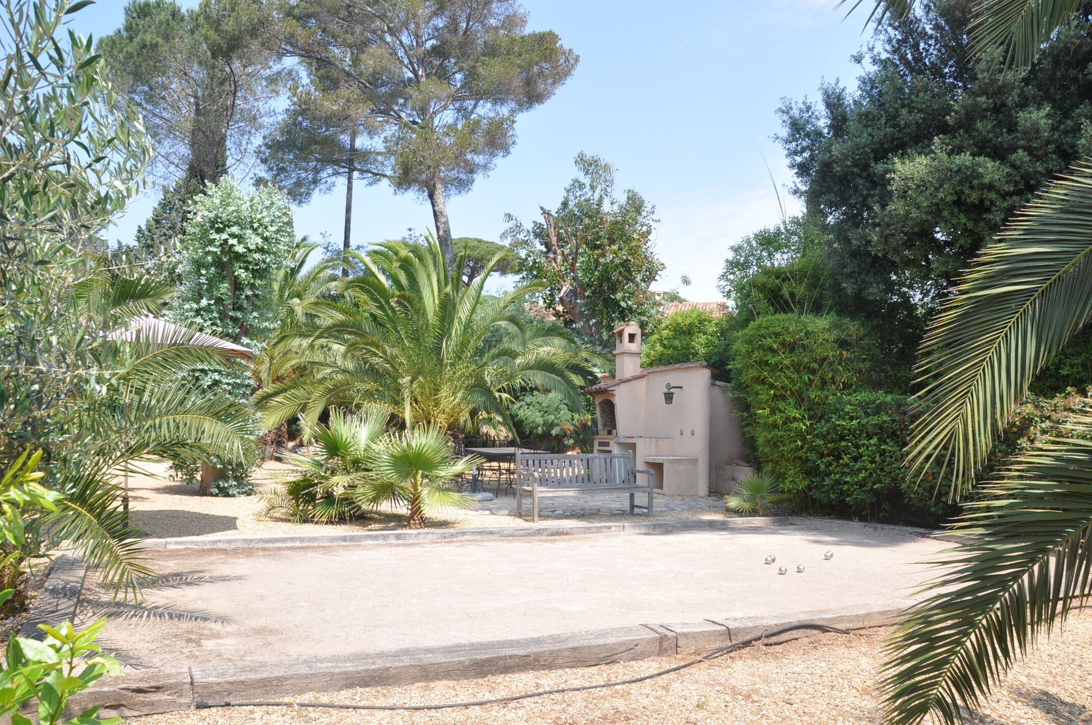 A garden with a bench, palm trees, and a small building with a door and window.