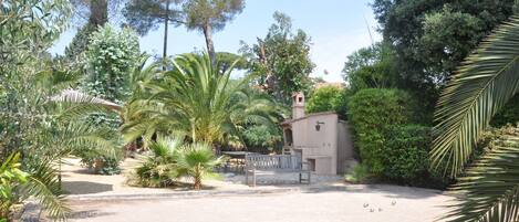 A garden with a bench, palm trees, and a small building with a door and window.