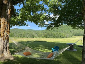 Property grounds - Great Ski or Summer Rental - 5 miles to Okemo/Ludlow, 25 Gorgeous Acres (Ludlow)