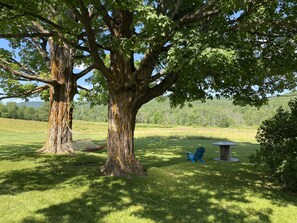 Property grounds - Great Ski or Summer Rental - 5 miles to Okemo/Ludlow, 25 Gorgeous Acres (Ludlow)