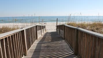 Playa en los alrededores